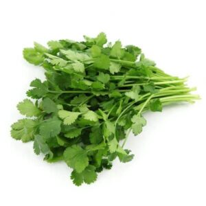 Dhaniya ( धनिया )