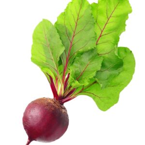 Chukundar ( चुकन्दर )