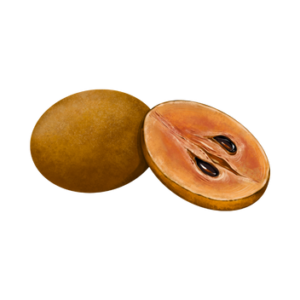 Chiku ( चीकू )