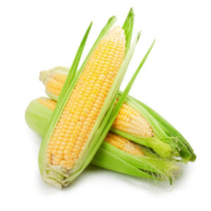 Sweet corn