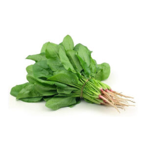 Palak bunch